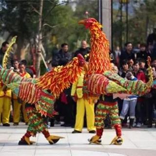 走阳山丨400年过去，双凤舞仍在舞动 