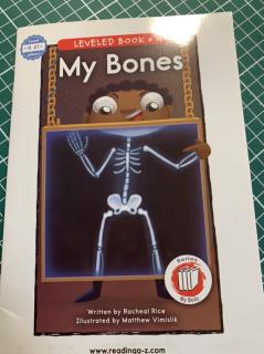 My Bones