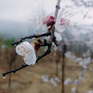 春风化雨都是诗