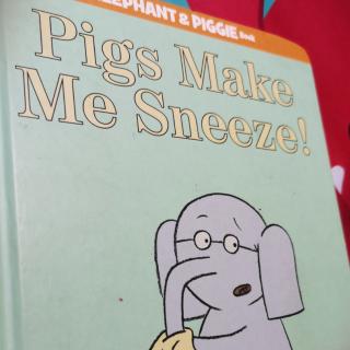 Pigs make me.sneeze