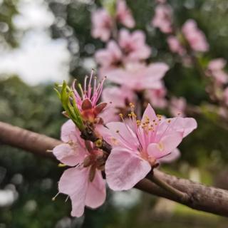 《三月.雷锋精神荡春风》作者：任红包包