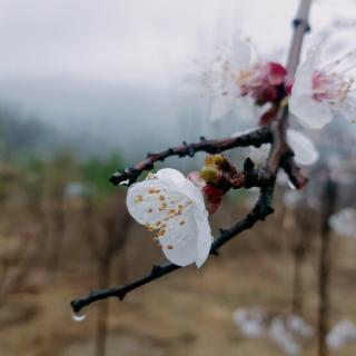 惊蛰——眼中皆风景，所遇皆温情