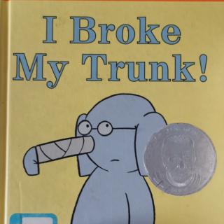 I Broke My Trunk!
