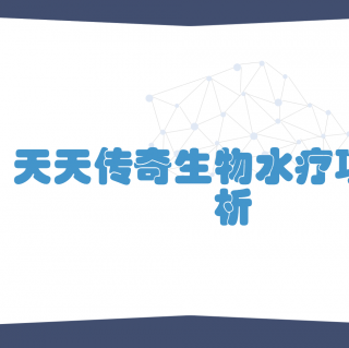 2021.2.21化总最新传奇项目方案介绍