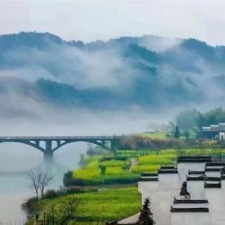 《盐湖之行》诵读：竹林听雨