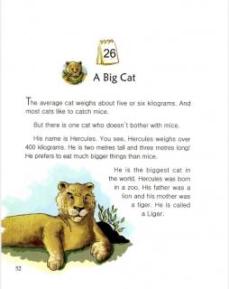 one story a day一天一个英文故事-2.26 A Big Cat