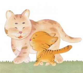 老虎和小猫—Amy