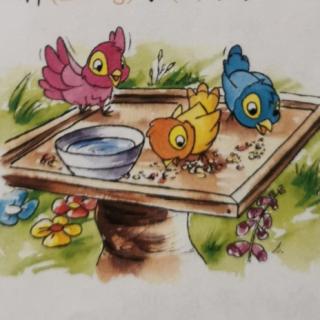 小鸟餐桌