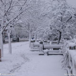 030：私房阅读课-小古文《雪》