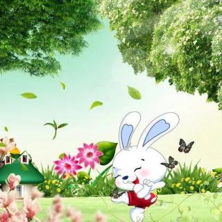 东阿金子塔幼儿园晚安故事《小兔子的大花园》