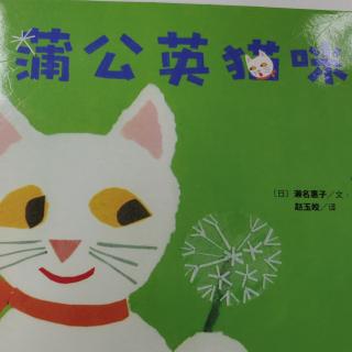 蒲公英猫咪