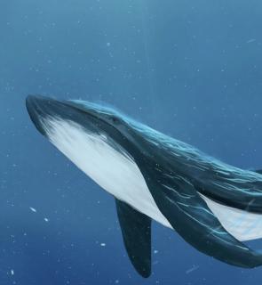 化身孤岛的鲸一东篱
