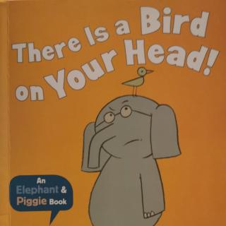 There Is a Bird on Your Head!