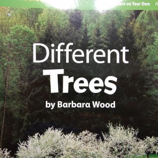 Different Trees