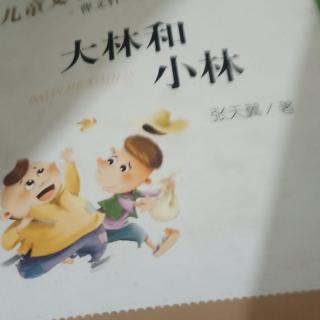 大林和小林