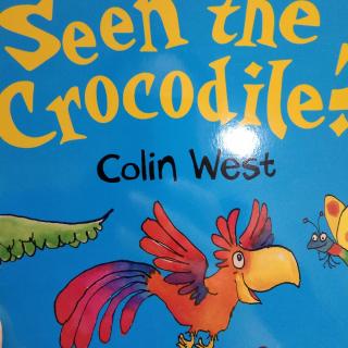 Have You Seen The Crocodile?