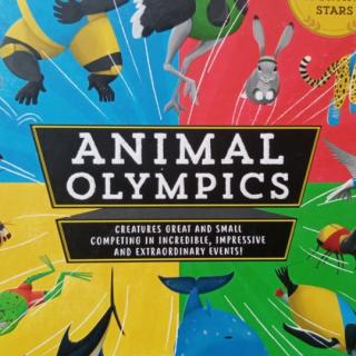 Animal Olympic18-19