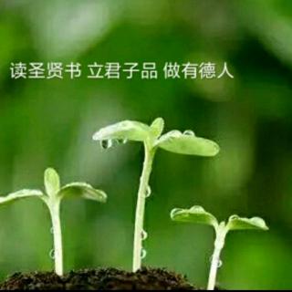 第1704天《被烧过的草🌿复活了》