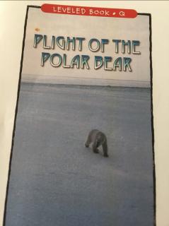 20210309 Plighy of the polar bear