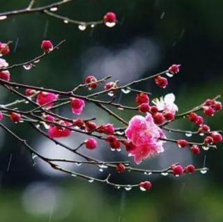 《致“三八妇女节”》诵读：艳子