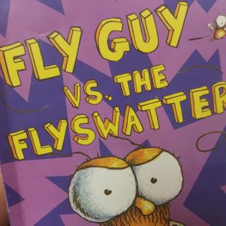 3/10  kevin 6 FLY GUY VS THE FLYSWATTER