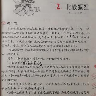 2.北极狐狸