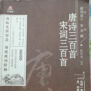 《唐诗三百首》——  第二十三首  与高适薛据登慈恩寺浮图  常建