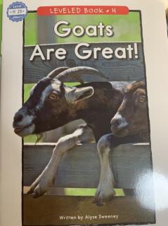 Goats Are Great!