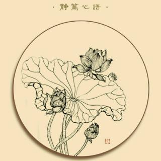 无心插柳柳成荫