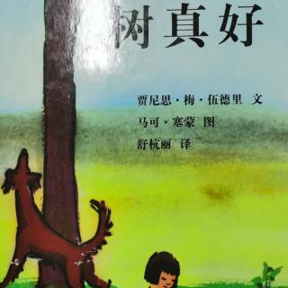 运城幼专附属幼儿园张老师—《树真好》