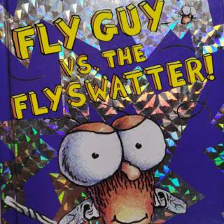 Fly guy vs the flyswatter