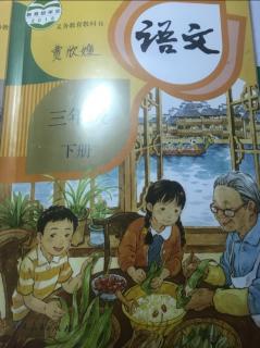 昆虫备忘录📕