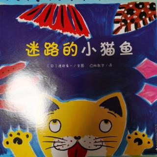 《迷路的小猫鱼》