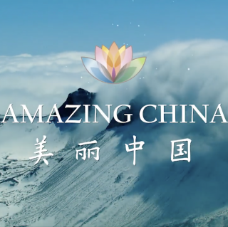 央视《美丽中国》英文短片，第十三集：小熊猫和妈妈学爬树