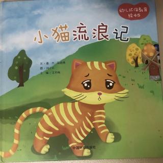 小猫流浪记