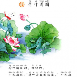 荷叶圆圆- 一年级语文下册