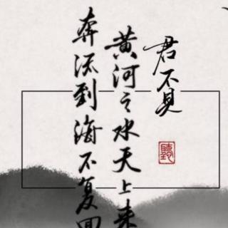 将进酒 有声书  (278)