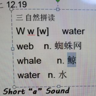 字母 W w自然拼读