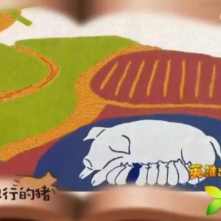 绘本故事《一只特别的小猪》