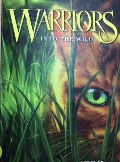 Warriors into the wild chapter 18
