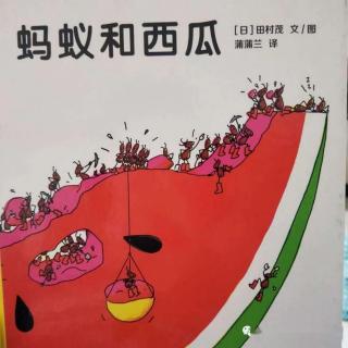 绘本故事【蚂蚁和西瓜🍉】