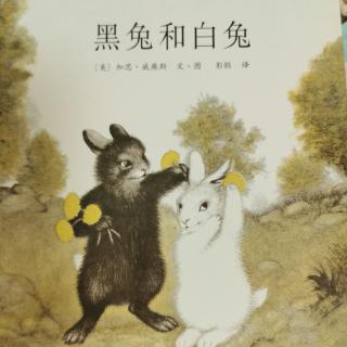 小黑兔和小白兔