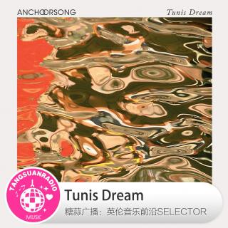 Tunis Dream·糖蒜爱音乐之The Selector