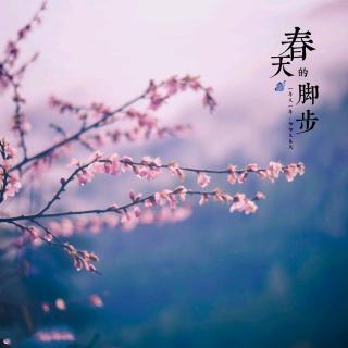 水调歌头·明月几时有