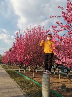 口蜜腹剑  滥竽充数  老马识途 买椟还珠