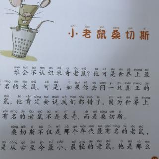 《小老鼠桑契斯》