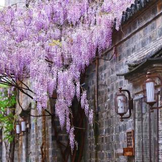 1078.《东城送运判马察院》梅尧臣