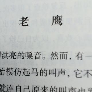 《老鹰》