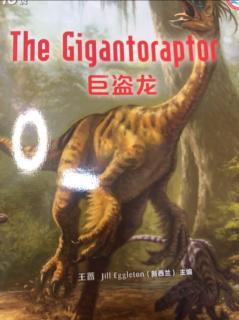 the gigantoraptor