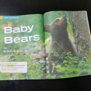 3.16  Baby Bears